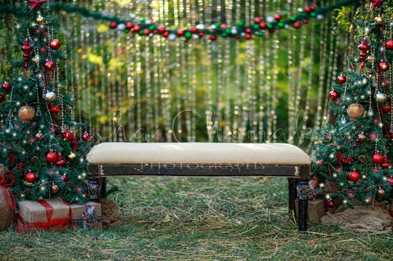 Outdoor Christmas Backdrops 