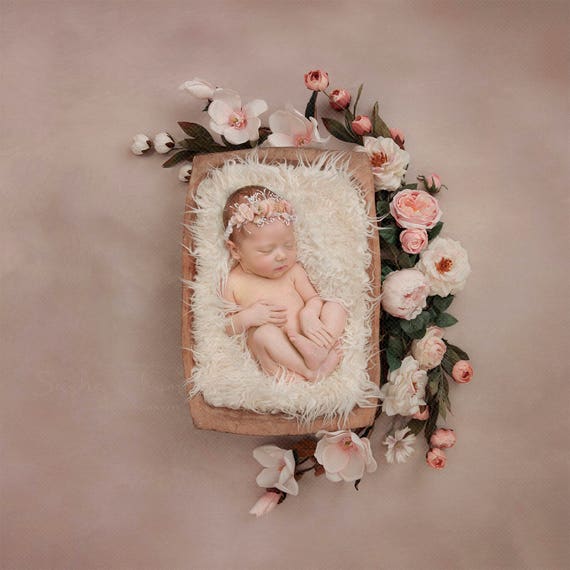 Digital Backdrop Background Newborn Baby Girl Peach Flowers - Etsy