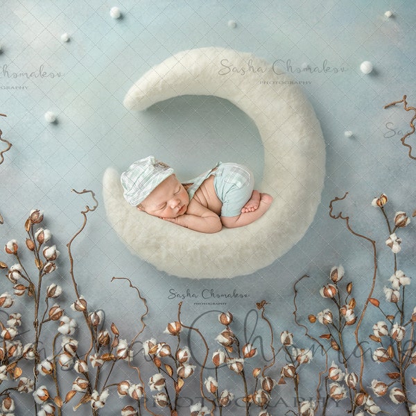 Digital backdrop background newborn   girl or boy  blue cotton buds white moon