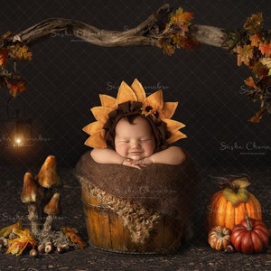 Digital backdrop background newborn   girl  Fall Autumn pumpkins  bucket brown