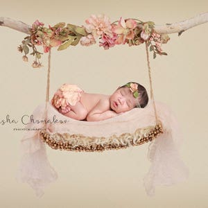 Digital backdrop  background newborn baby girl peach pink swing peach birch branch
