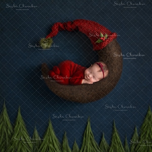 Toile de fond numérique, arrière-plan nouveau-né bébé fille garçon brun foncé , lune Noël , pins forêt rouge forêt