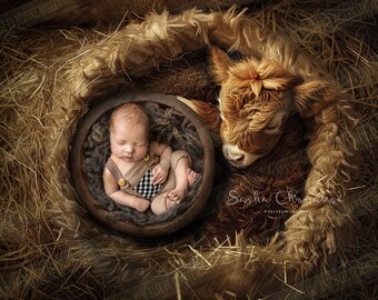 Digital backgrounds backdrops newborn girl boy overhead real bowl wool on Ai generated farm animals baby highland cow  barn baby cowboy