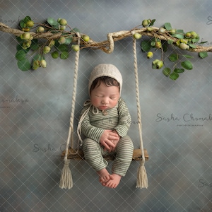 Digital backdrop background newborn boy  girl  overhead shelf arbor branch swing