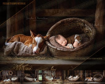 5 different Digital backgrounds backdrops newborn baby boy girls bum up Ai generated horses, farm  foal cowboy cowgirl barn donkey 