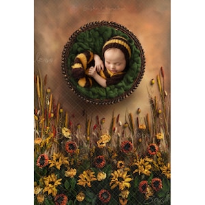 Telón de fondo digital fondo recién nacido chica, flores secas, por encima de la cabeza, verano, otoño otoño, rústico, flores de verano verde hierba