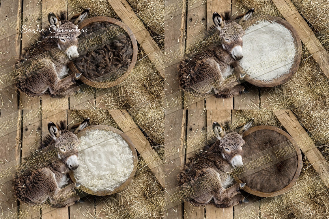 Digital Backgrounds Backdrops Newborn girl Boy Overhead Real Bowl With ...