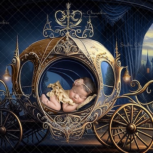 Digital background , backdrop , newborn baby girl Cinderella carriage