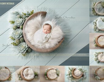 9  Digital backgrounds backdrops newborn baby boys girls  top view overhead cacti cactuses   Ai generated  