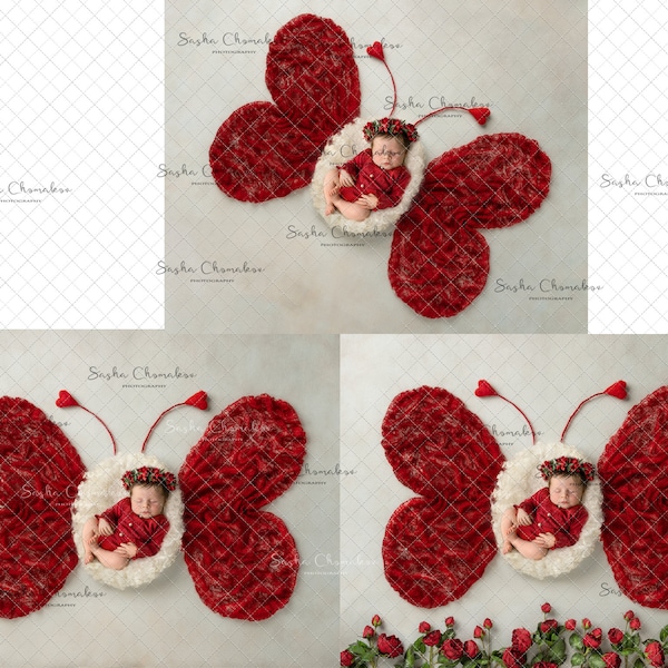 igital backdrop, background newborn baby girl or boy cream fur red  Valentine's day v-day  roses butterfly love bug