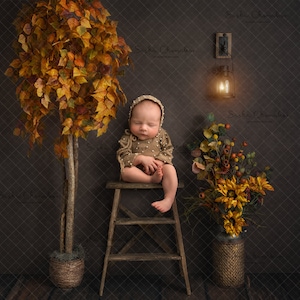Digital backdrop, background newborn baby girl boy  dark brown shelf  Fall Autumn step ladder
