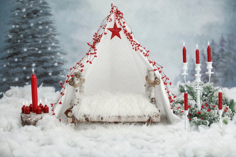 digital backdrop Christmas  fur baby toddler white tent red image 0