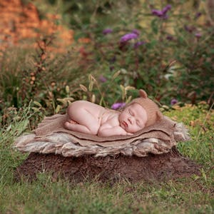 Digital backdrop, background newborn baby girl or boy tree stump outdoor  garden  brown blanket