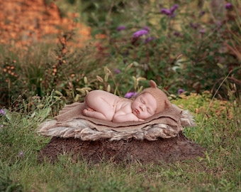 Digital backdrop, background newborn baby girl or boy tree stump outdoor  garden  brown blanket