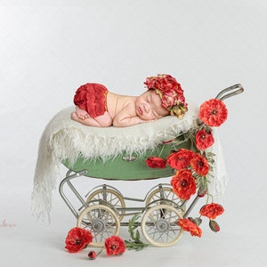 Digital backdrop, background newborn baby girl  red poppy flowers vintage  stroller blue green white