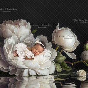 Digital backdrop, background newborn baby  girl , hand painted peony peonies white floral flowers Spring Summer cream hand painted
