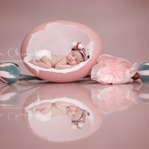 digital backdrop  background newborn baby girl egg