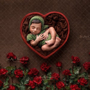 Fond numérique de fond nouveau-né fille ou fleurs de roses de garçon, Valentines V-day boho amour coeur brun foncé