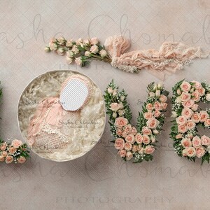 Toile de fond numérique fond nouveau-né fille fleurs, roses frais généraux lumière pêche rose naturel insert amour valentines, v-day