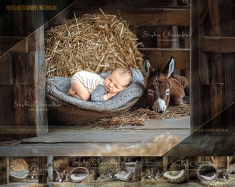 5 different Digital backgrounds backdrops newborn baby boy girls bum up Ai generated horses, farm  foal cowboy cowgirl barn donkey 