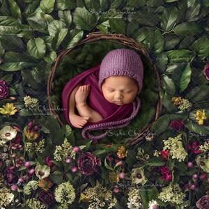 Pode incluir: Um recém-nascido dormindo em uma cesta tecida cercada por um leito de flores roxas, brancas e verdes. O bebê está usando um chapéu de tricô roxo e um envoltório bordô.
