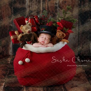 Digital backdrop background sitter   boy or girl Christmas  under the  tree baby in Santa bag gift sack