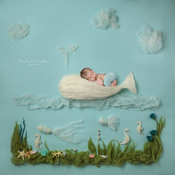 Digital Backdrop, Background Newborn Baby Girl Boy Blue Sea Whale