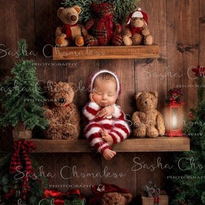 Digital backdrop background newborn baby boy or girl   brown baby on the shelf Christmas wooden dark elf