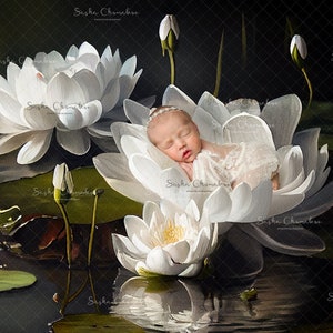 Digital backdrop, background newborn baby  girl , hand painted white lily water  flower lotus , floral ,  floral flowers Spring Summer