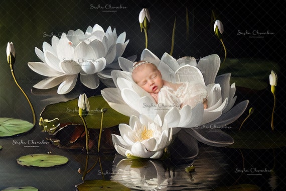 Buy Digital Backdrop, Background Newborn Baby Girl Hand Painted