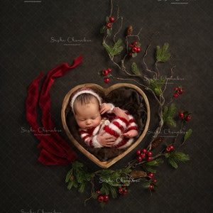 Digital backdrop, background newborn baby girl boy dark brown , heart  Christmas , overhead  blanket winter, pine tree branches red