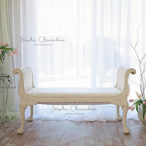 Digital backdrop, background newborn baby family older children  peach flowers pink green window white bench