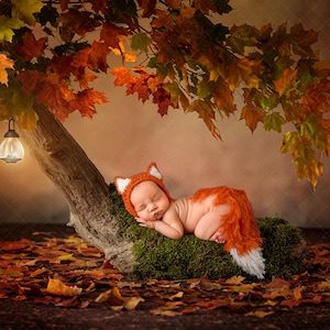 Digital backdrop, background newborn baby girl or boy teddy , fox bunny bear  Fall tree Autumn   moss