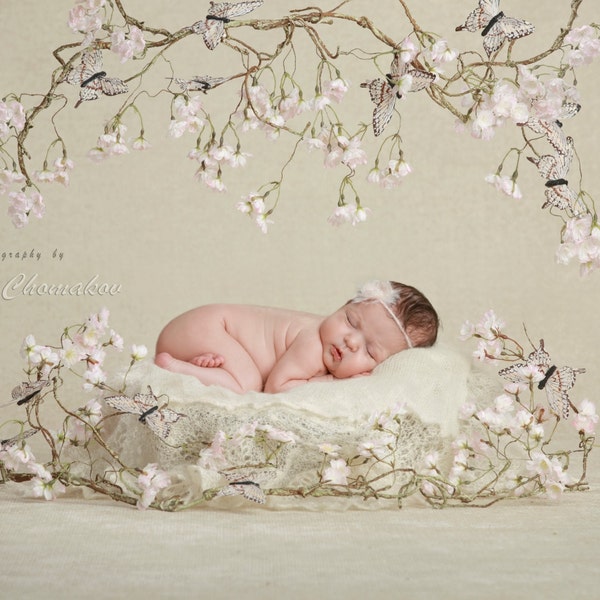 fond numérique , fond nouveau-né bébé fille fleur la queue de fée de rose de seau blanc