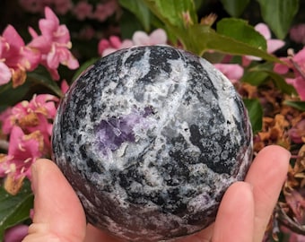 May include: A polished stone sphere with a mix of black, white, and purple hues. The sphere is held in a hand, with a backdrop of pink flowers and green leaves.