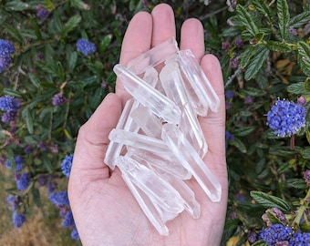 Bulk Raw Clear Quartz Points: Natural Healing Crystals