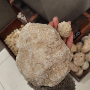 Puede incluir: Una mano sostiene dos rocas de color beige, una grande e irregular, la otra pequeña y redonda. Las rocas tienen una superficie rugosa y texturizada. Otras rocas similares son visibles en el fondo, lo que sugiere un producto de piedra natural.