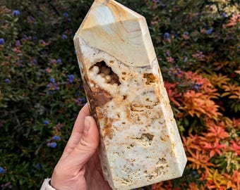 Golden Caribbean Calcite Tower: Druzy Pocket Collector's Crystal (19.5cm)