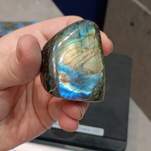 Puede incluir: Una piedra preciosa de labradorita azul y verde con destellos iridiscentes. La piedra preciosa es lisa y pulida, y se est&aacute; sosteniendo en una mano.