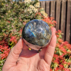 May include: A polished, dark gray labradorite sphere with iridescent blue and green flashes. The sphere is being held in a hand.