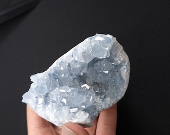 May include: A light blue celestite crystal cluster with a crystalline structure. The crystal has a rough, uneven surface and is a pale blue color. The crystal is held in a hand against a black background.