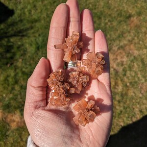 Può includere: Cinque piccoli gruppi di cristalli di colore arancio-marrone a forma di stelle. I cristalli sono raggruppati in una mano.
