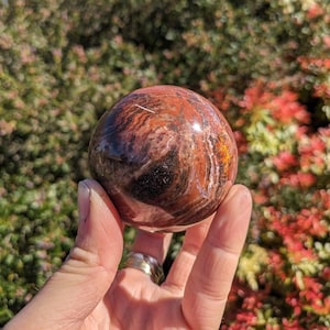 Petrified Wood Sphere | Small, Medium Large Sizes | Ancient Fossil Crystal Ball wood sphere petrified wood ball | Polished Wood Stone