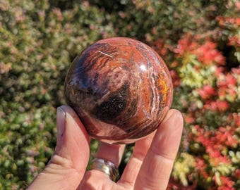 Petrified Wood Sphere | Small, Medium Large Sizes | Ancient Fossil Crystal Ball wood sphere petrified wood ball | Polished Wood Stone