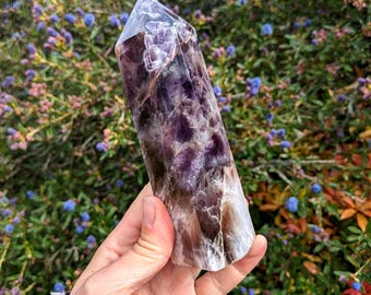 Dream Amethyst Tower: Chevron Amethyst Kristallspitze für Schattenarbeit