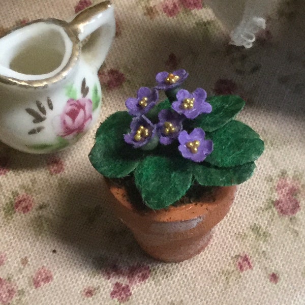 Dollhouse African Violets