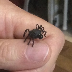 May include: A close-up of a small, black spider with long legs. The spider is sitting on a person's finger.