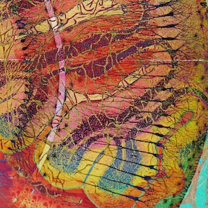 May include: Abstract painting with a vibrant mix of colors, including red, yellow, blue, and purple. The painting features a complex network of lines and shapes, creating a sense of depth and movement.