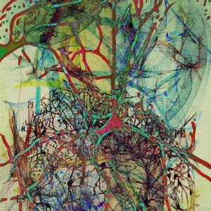 Wispy neurons of the will-o&#39;-the wisp