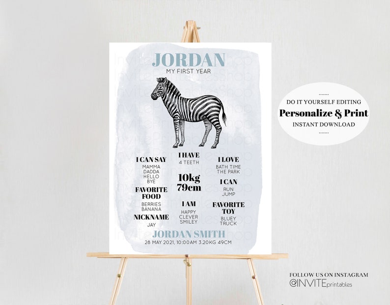 Watercolor Zebra Baby Milestone Board First Birthday Poster Welcome Board 1st Birthday Baby Keepsake Milestone Sign Modern Jungle 256